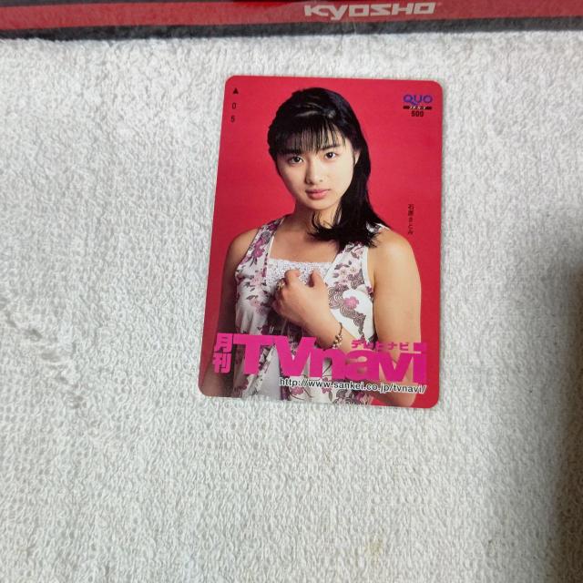 �N�I�J500 �Ό����Ƃ� ����TV�i�r ���g�p  �� �`�P�b�g/������ 