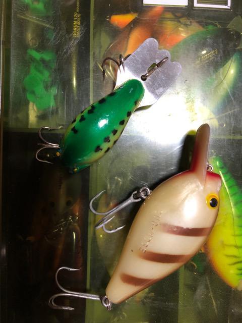 アーボガスト オールド パグノーズ < レジャー/スポーツ アーボガスト オールド パグノーズ < レジャー/スポーツの