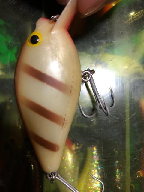 アーボガスト オールド パグノーズ < レジャー/スポーツ アーボガスト オールド パグノーズ < レジャー/スポーツの