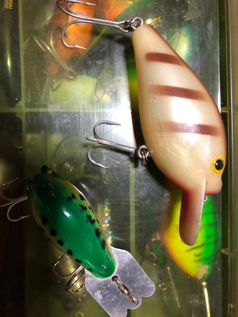 アーボガスト オールド パグノーズ < レジャー/スポーツ アーボガスト オールド パグノーズ < レジャー/スポーツの