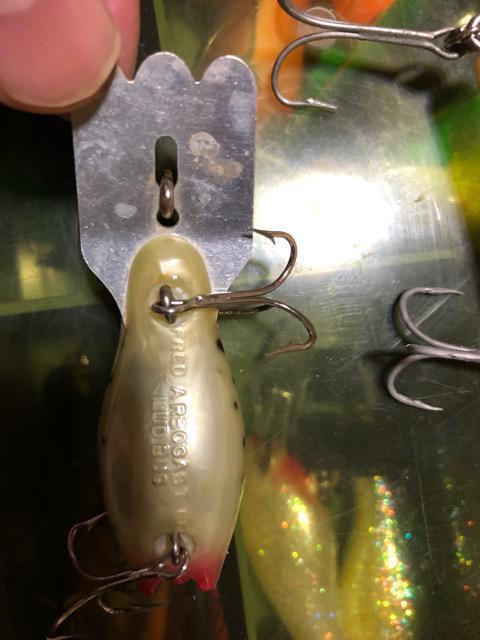 アーボガスト オールド パグノーズ < レジャー/スポーツ アーボガスト オールド パグノーズ < レジャー/スポーツの