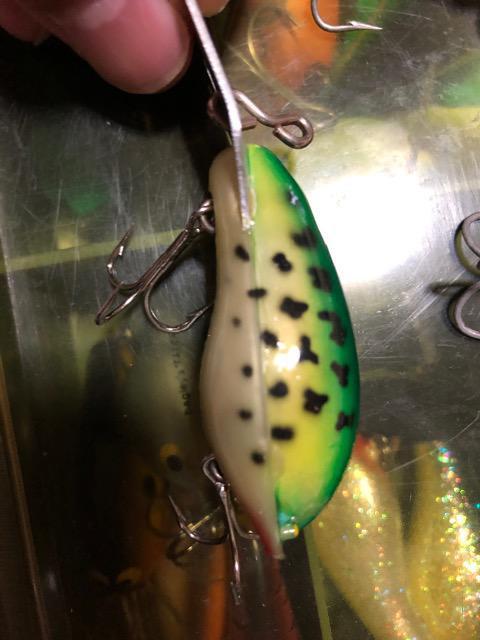 アーボガスト オールド パグノーズ < レジャー/スポーツ アーボガスト オールド パグノーズ < レジャー/スポーツの