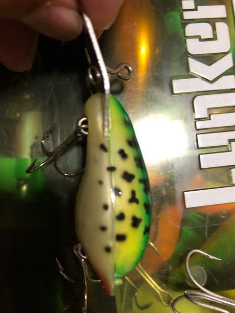 アーボガスト オールド パグノーズ < レジャー/スポーツ アーボガスト オールド パグノーズ < レジャー/スポーツの