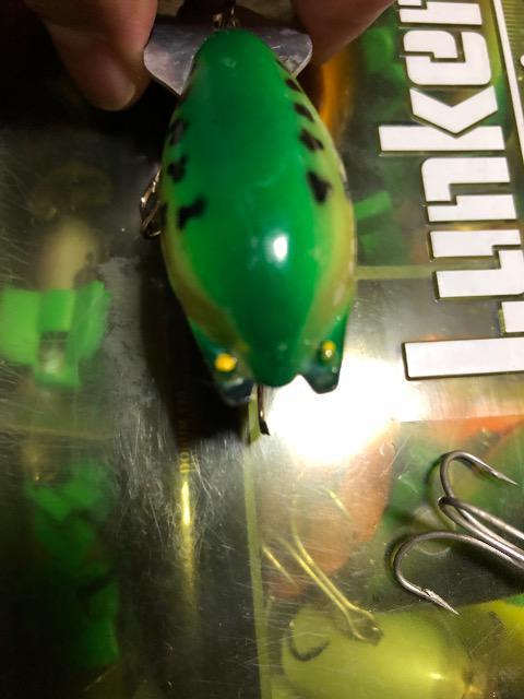 アーボガスト オールド パグノーズ < レジャー/スポーツ アーボガスト オールド パグノーズ < レジャー/スポーツの