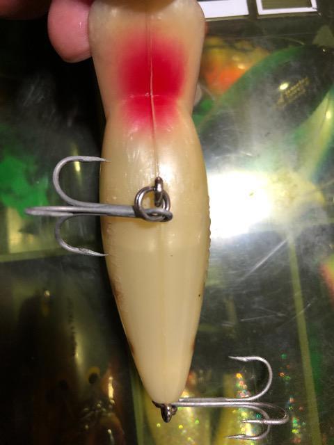 アーボガスト オールド パグノーズ < レジャー/スポーツ アーボガスト オールド パグノーズ < レジャー/スポーツの