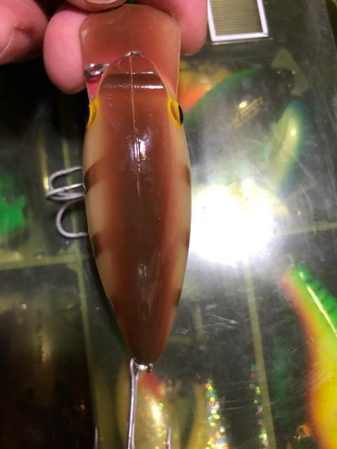 アーボガスト オールド パグノーズ < レジャー/スポーツ アーボガスト オールド パグノーズ < レジャー/スポーツの