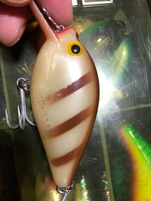 アーボガスト オールド パグノーズ < レジャー/スポーツ アーボガスト オールド パグノーズ < レジャー/スポーツの