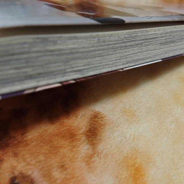 恋心×シンドローム 町田とまと < アニメ/コミック/キャラクター  恋心×シンドローム 町田とまと < アニメ/コミック/キャラクターの