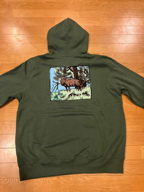THE NORTH FACE パーカー プルオーバー 大きいsizeXXL 深緑  ノースフェイス < ブランド  THE NORTH FACE パーカー プルオーバー 大きいsizeXXL 深緑  ノースフェイス  < ブランドの