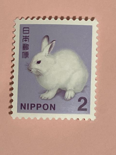 �y�؎�z�Q�~ 