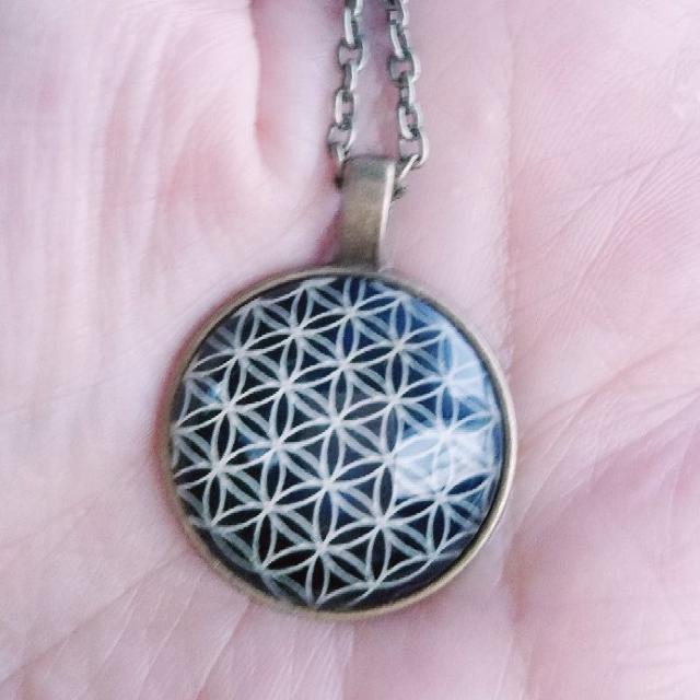 _􉽊w͗lt[IuCt@lbNX  ANZT[/v 