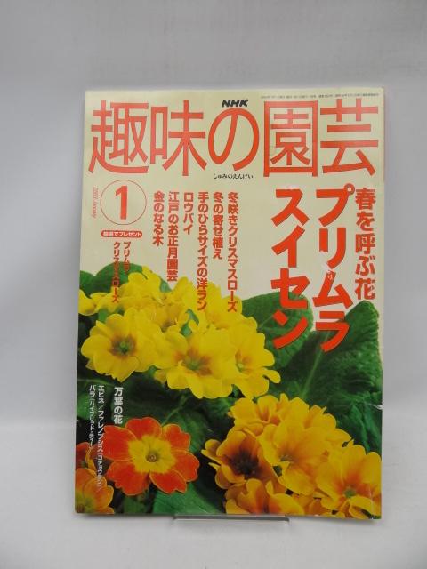 2010 NHK 趣味の園芸 2003年1月号 < 本/雑誌  2010 NHK 趣味の園芸 2003年1月号  < 本/雑誌の