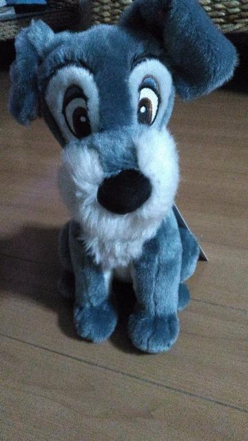 ���]�[�g�g�����v�V�����_�[�o�b�O  �� �C���e���A/���C�t�� 