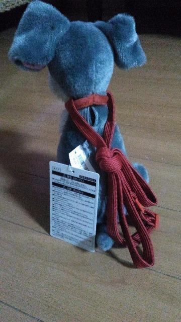 ���]�[�g�g�����v�V�����_�[�o�b�O �� �C���e���A/���C�t�� 