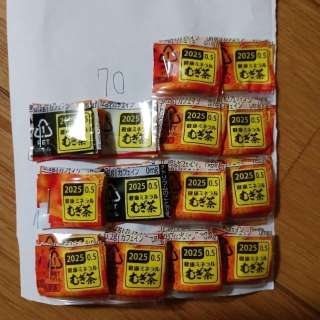 �ɓ��������@70�|�C���g  �� �`�P�b�g/������ 