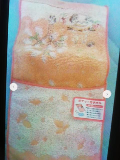 とナリのどトロぽケっト付きミにたォる < ホビー  とナリのどトロぽケっト付きミにたォる < ホビーの