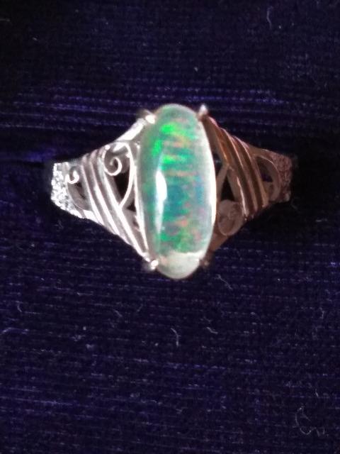 �I�p�[��k14WG�����O�@���a���g��