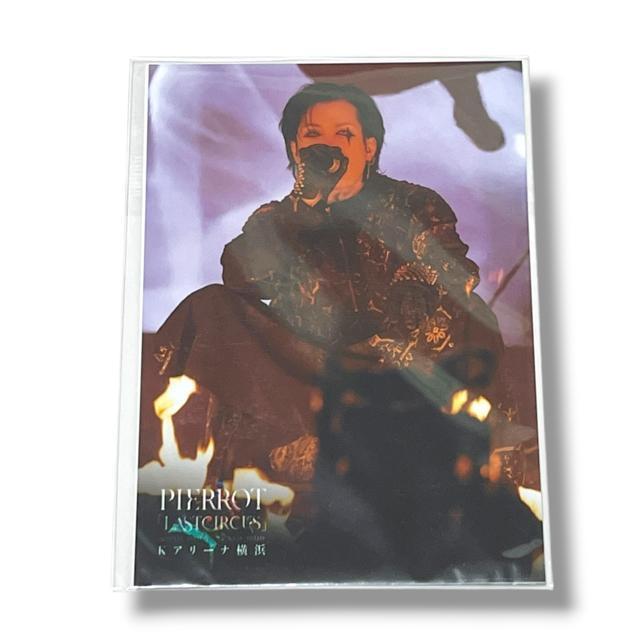 yPIERROTzbt:F܃u}Ch2Zbg/Lg  ^gObY 