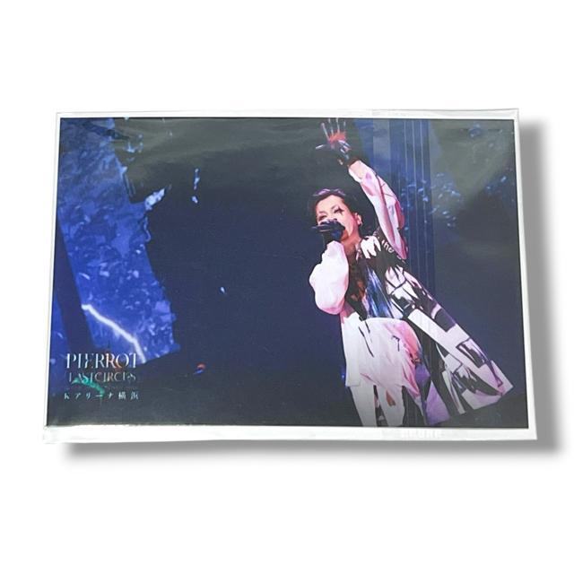 yPIERROTzbt:F܃u}Ch2Zbg/Lg  ^gObY 