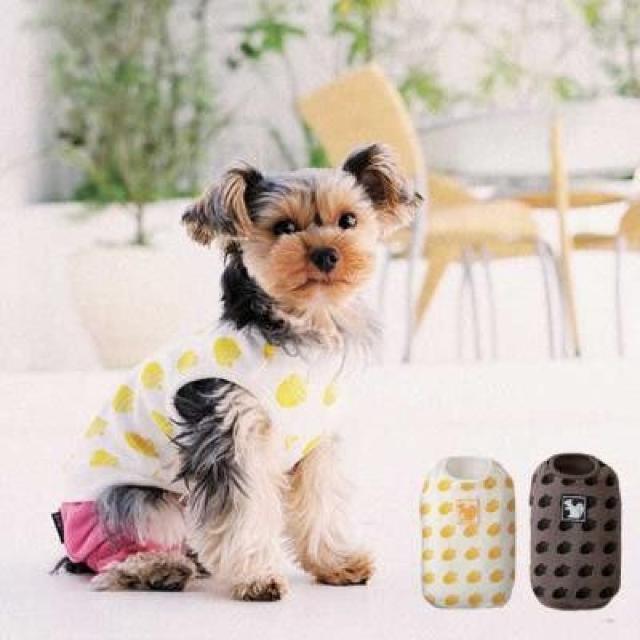 SimplersV hOVc 2L zCgVi `7kg   ybg/|/| 