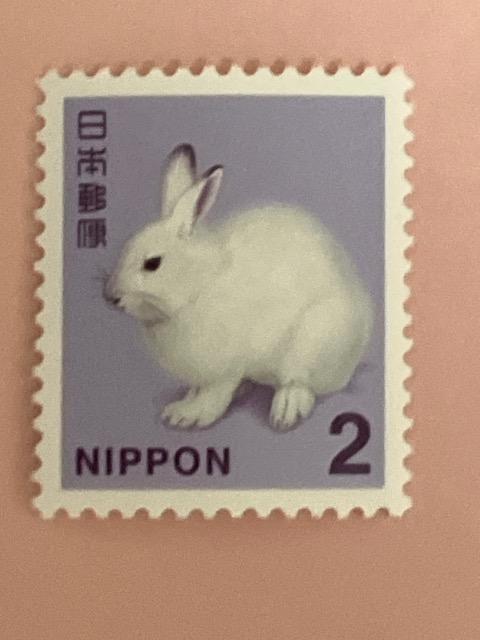 �y�؎�z�Q�~�@���D���������������ɃI�X�X���ł� 