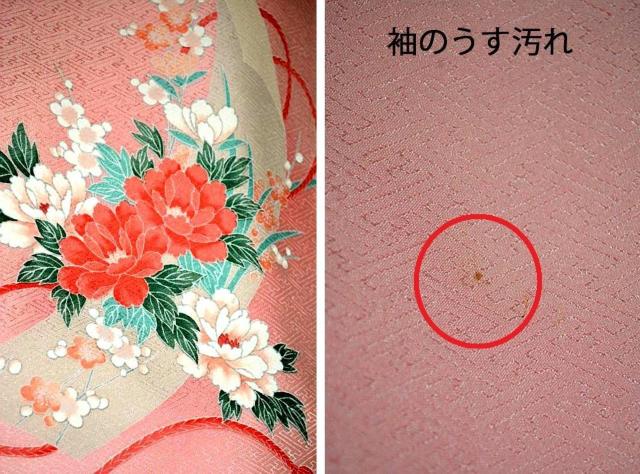 �t���� ���� ���� �������� �ō��� �򂵐��� �F�T �䏊�� ���l�ԕ� �ԕ� �g��165���� ����65.5���� ���� T3684 �� �����t�@�b�V������ 