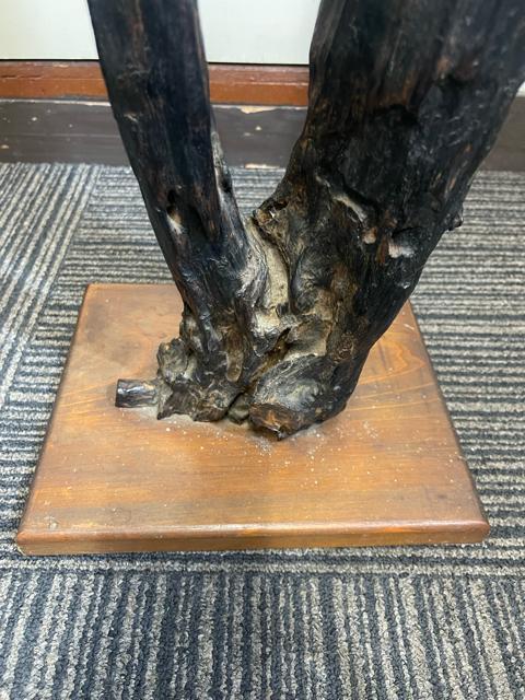 �y������101cm�z�V�R�� ���؃I�u�W�F ����t�� ��_�� �a���_�� �C���e���A �� �C���e���A/���C�t�� 