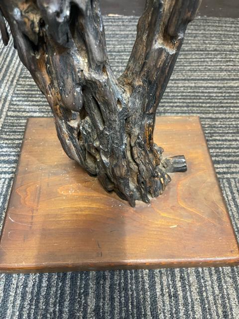 �y������101cm�z�V�R�� ���؃I�u�W�F ����t�� ��_�� �a���_�� �C���e���A �� �C���e���A/���C�t�� 