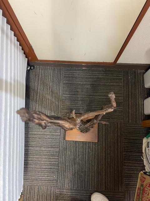 �y������101cm�z�V�R�� ���؃I�u�W�F ����t�� ��_�� �a���_�� �C���e���A �� �C���e���A/���C�t�� 