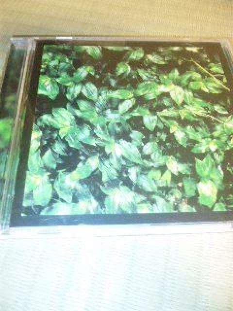 CD,Gt@gJV}V(GJV)RRɉԂ т   ^gObY 