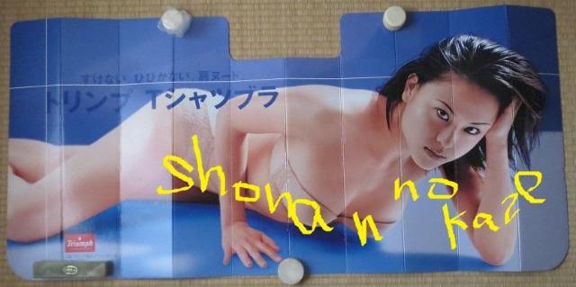 キャンギャル高城佳月子の抽選で当たった非売品のサンシェード未使用品 < タレントグッズ  キャンギャル高城佳月子の抽選で当たった非売品のサンシェード未使用品  < タレントグッズの