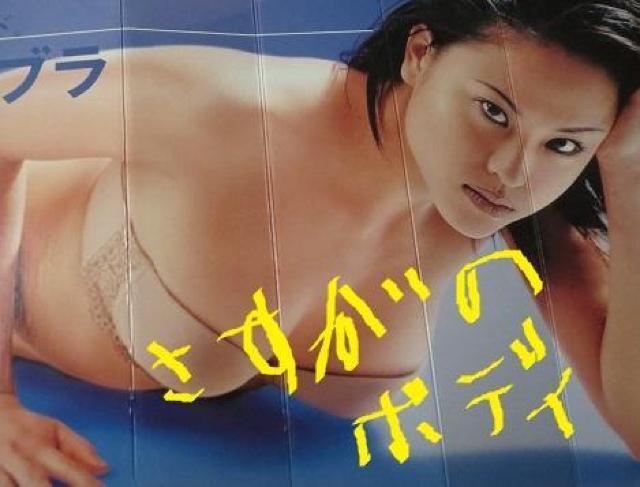 キャンギャル高城佳月子の抽選で当たった非売品のサンシェード未使用品 < タレントグッズ  キャンギャル高城佳月子の抽選で当たった非売品のサンシェード未使用品 < タレントグッズの