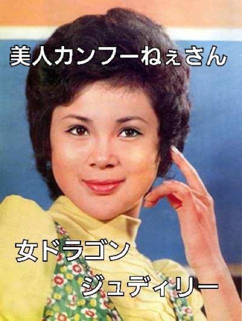 ☆不死鳥カンフーコップ☆ジュディリー☆日本語字幕版 < CD/DVD/ビデオ ☆不死鳥カンフーコップ☆ジュディリー☆日本語字幕版 < CD/DVD/ビデオの