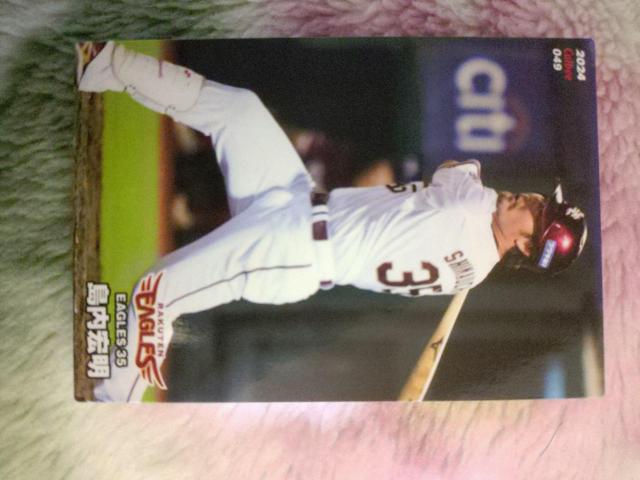 プロ野球チップスカード < トレーディングカード プロ野球チップスカード < トレーディングカードの