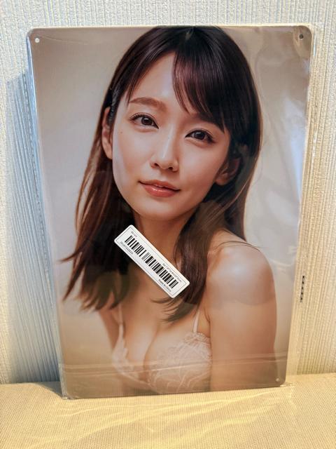 �V�i�@�u���L�Ŕ� �� �C���e���A/���C�t�� 