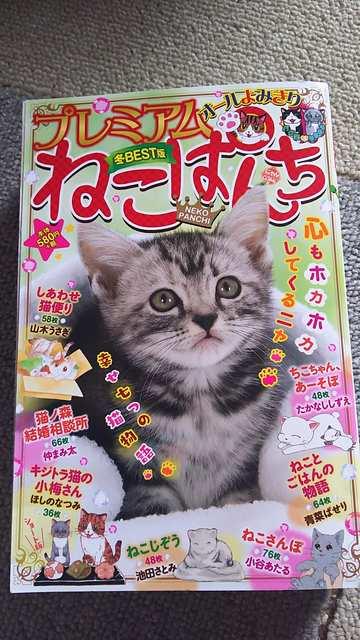 ☆プレミアムねこぱんち < 本/雑誌  ☆プレミアムねこぱんち  < 本/雑誌の
