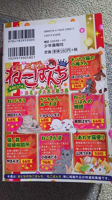 ☆プレミアムねこぱんち < 本/雑誌  ☆プレミアムねこぱんち < 本/雑誌の