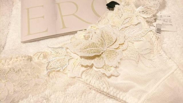 ワコール/Saluteサルート/58G店舗限定/ルノアール/ルノワール/ソングTバックショーツ/IV/M < 女性ファッション  ワコール/Saluteサルート/58G店舗限定/ルノアール/ルノワール/ソングTバックショーツ/IV/M < 女性ファッションの