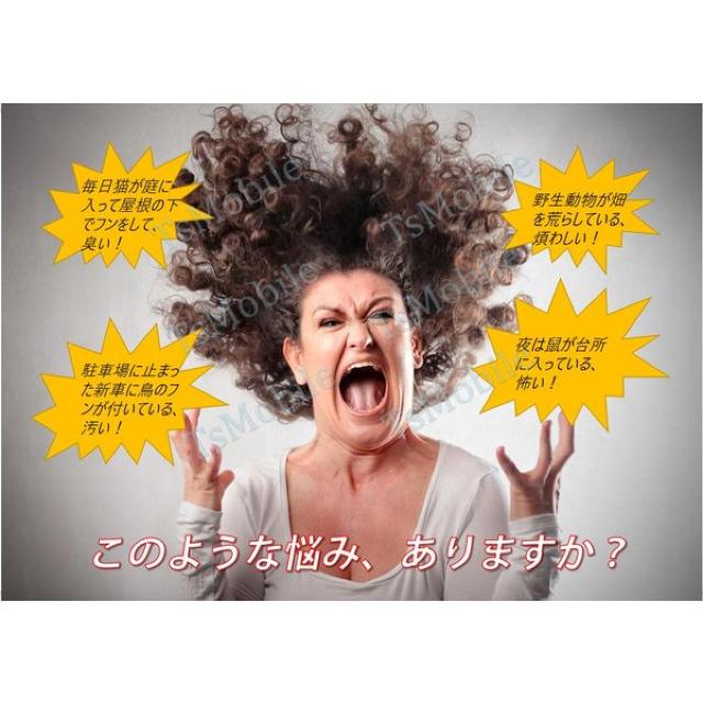 2台セット猫よけ 超音波動物撃退 光 動物避け 光 動物糞尿対策 < 家電/AV  2台セット猫よけ 超音波動物撃退 光 動物避け 光 動物糞尿対策 < 家電/AVの