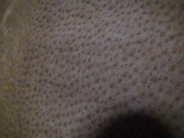 VIVRE CLUBru Nu 󏭃uE U[ e[[h WPbgiM) {̓؊v !B  jt@bV 