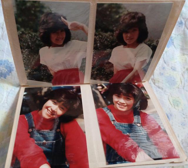 ky    超激レア 柏原よしえ 1981  生写真  14枚 < タレントグッズ  ky    超激レア 柏原よしえ 1981  生写真  14枚 < タレントグッズの