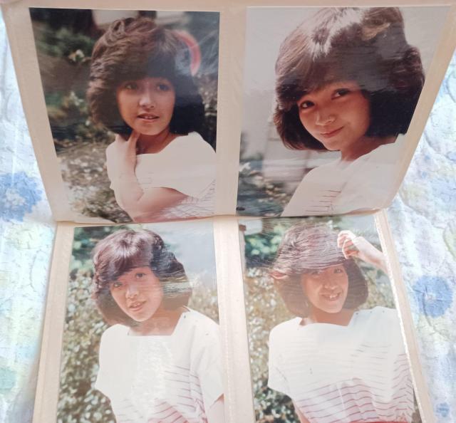 ky    超激レア 柏原よしえ 1981  生写真  14枚 < タレントグッズ  ky    超激レア 柏原よしえ 1981  生写真  14枚 < タレントグッズの