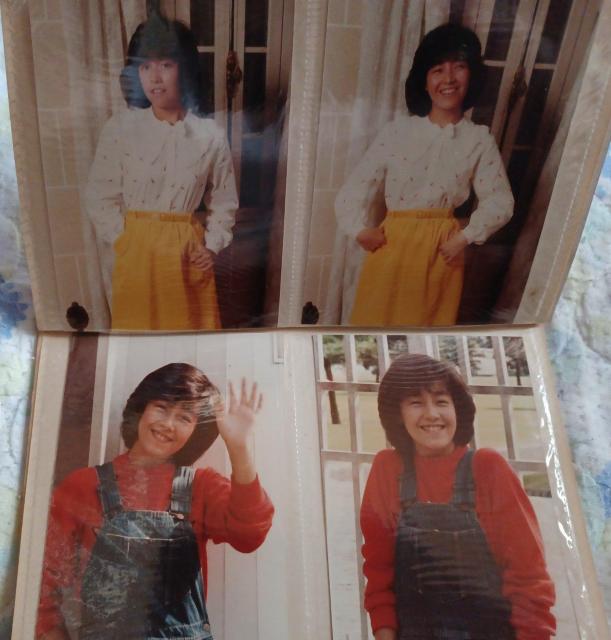 ky    超激レア 柏原よしえ 1981  生写真  14枚 < タレントグッズ  ky    超激レア 柏原よしえ 1981  生写真  14枚 < タレントグッズの