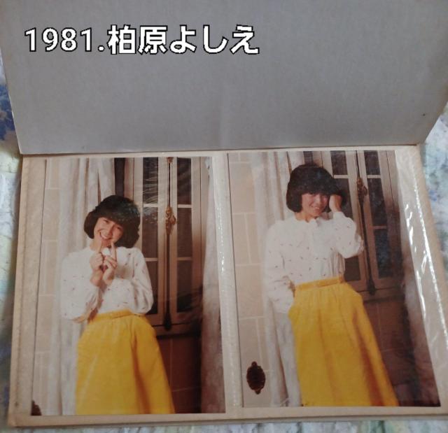 ky    超激レア 柏原よしえ 1981  生写真  14枚 < タレントグッズ  ky    超激レア 柏原よしえ 1981  生写真  14枚 < タレントグッズの