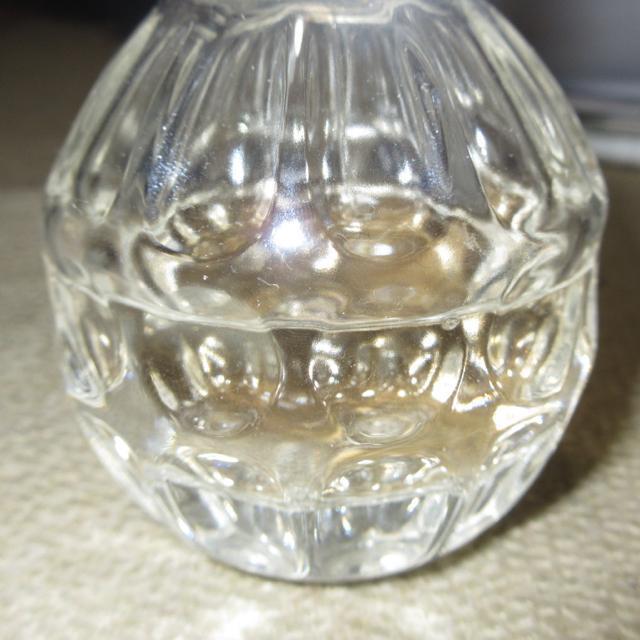 �W�~�[�`���EEDT 40ml SP(�I�[�h�g����)����