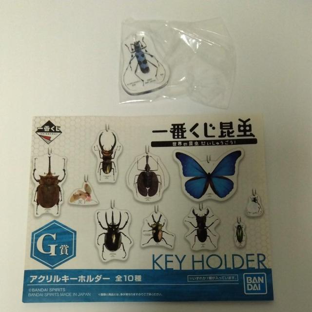 一番くじ 昆虫 世界の昆虫だいしゅうごう G賞 アクリルキーホルダー ルリボシカミキリ < アニメ/コミック/キャラクター  一番くじ 昆虫 世界の昆虫だいしゅうごう G賞 アクリルキーホルダー ルリボシカミキリ  < アニメ/コミック/キャラクターの