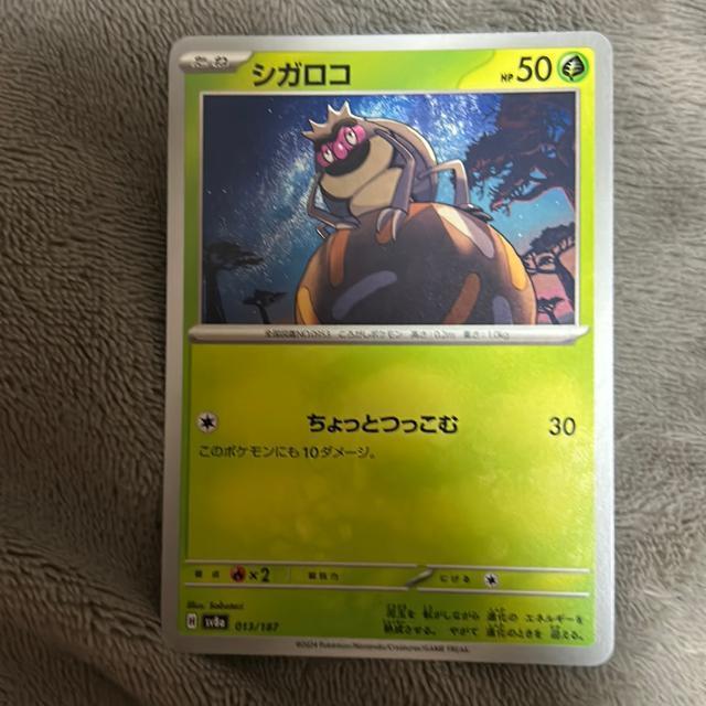 ポケモンカード シガロコ < トレーディングカード  ポケモンカード シガロコ  < トレーディングカードの