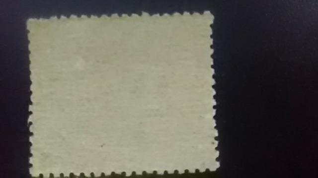 ȂÂ5.00~yΉ؎薢gpi