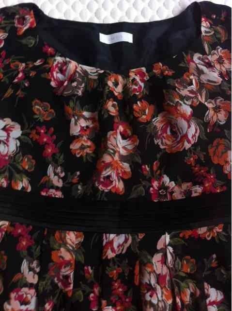 anySiSԕfUCs[XӂVtHi  uh 