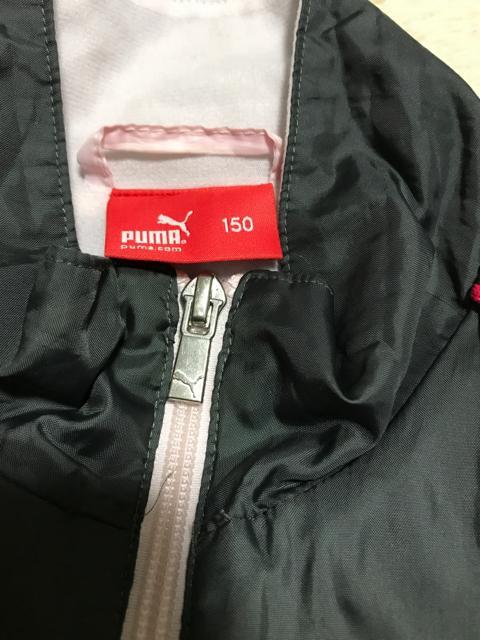 PUMA  t[XnEBhu[J[  150Z`  uh 